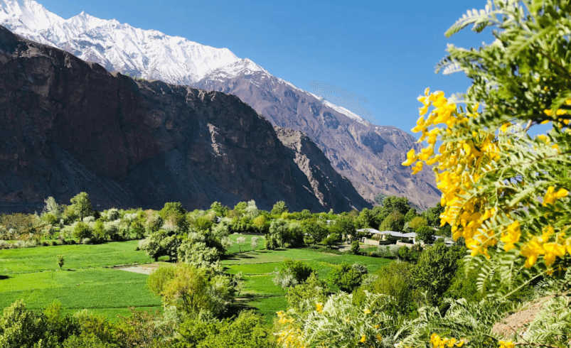 Discover the Beauty of Chitral: A Gem of Pakistan