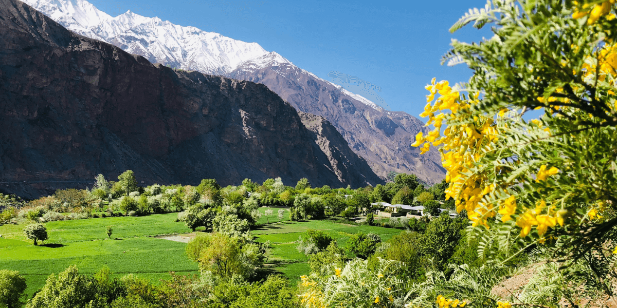 Discover the Beauty of Chitral : A Gem of Pakistan