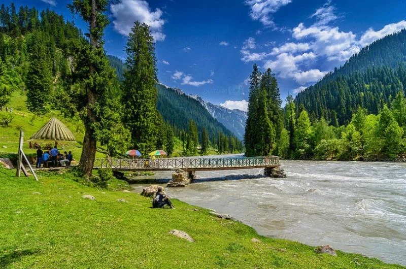 Galiyat: A Traveler’s Paradise Amidst Natural Beauty