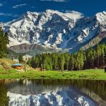 minimarg-astore