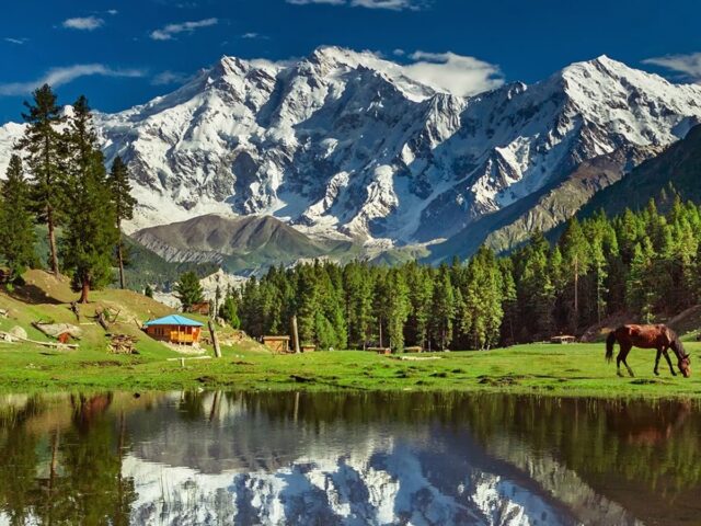 minimarg-astore