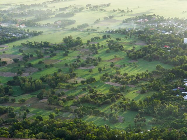 field
