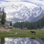 Fairy Meadows