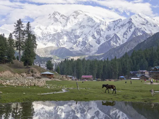 Fairy Meadows