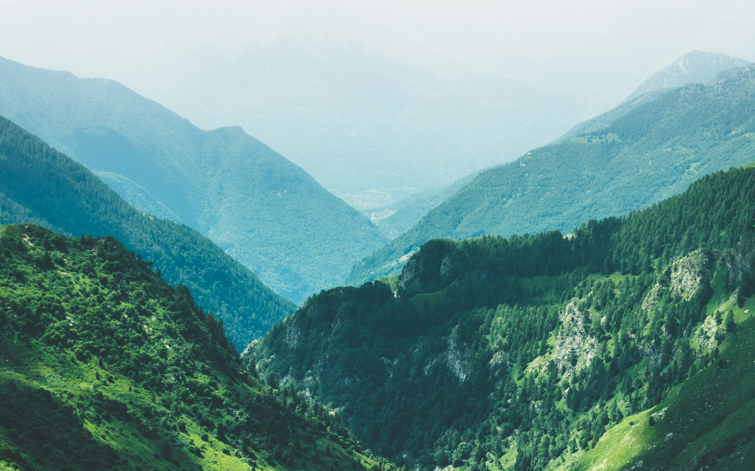 Exploring the Rich Flora and Fauna of Pakistan’s Northern Areas