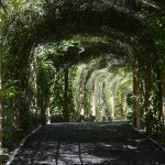 gardens in pakistan