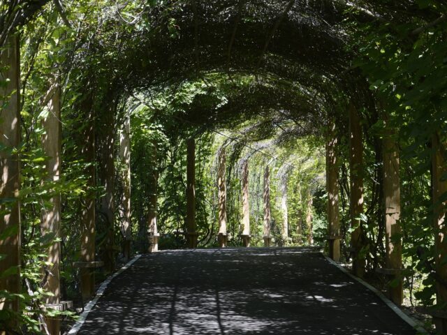gardens in pakistan