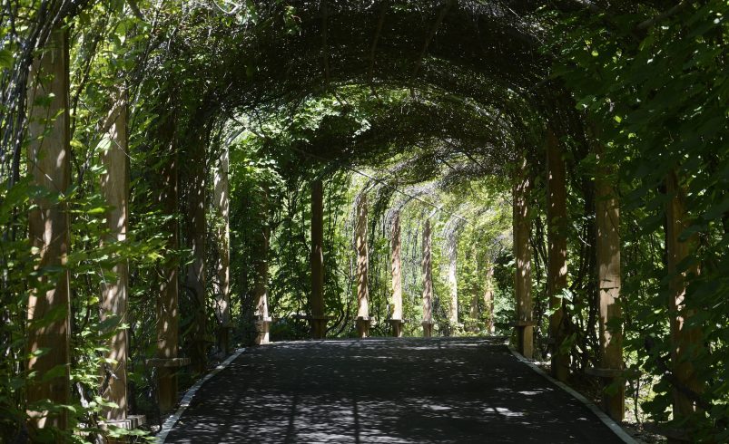 gardens in pakistan