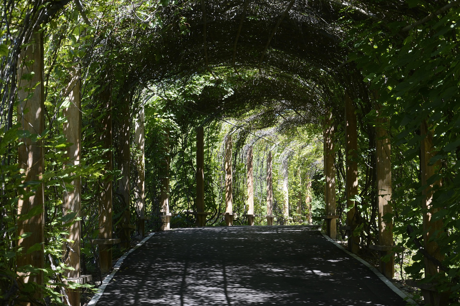 Botanical Gardens in Pakistan for Nature Enthusiasts