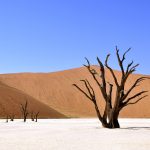 deserts