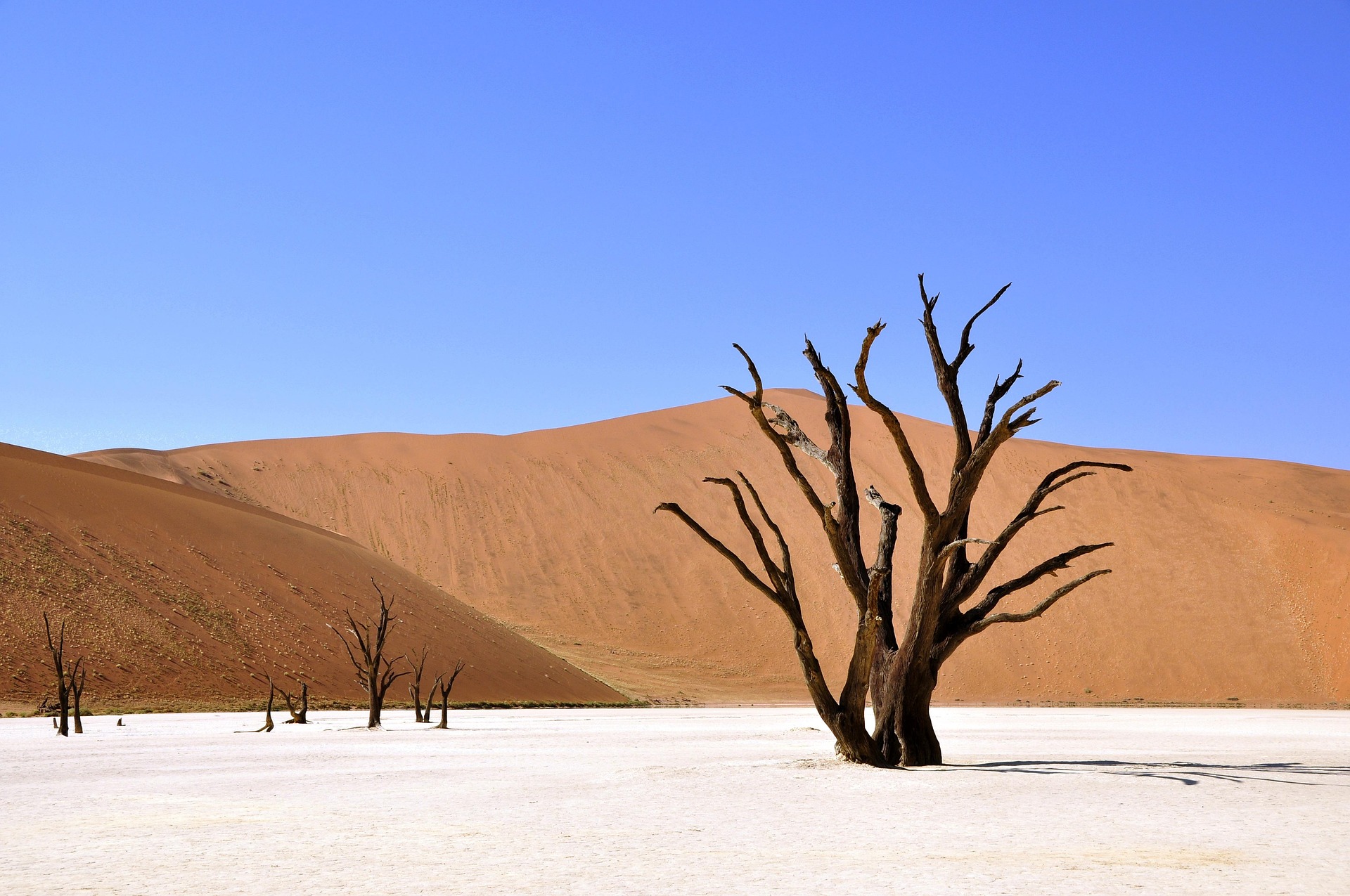 Deserts to Explore in Pakistan: A Journey Through the Sands