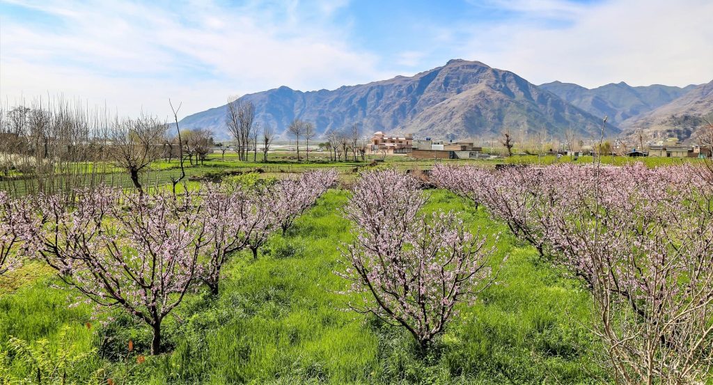 Swat Valley