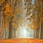 autumn