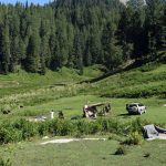 badgoi
