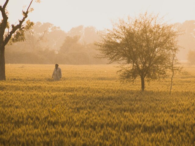 Punjab