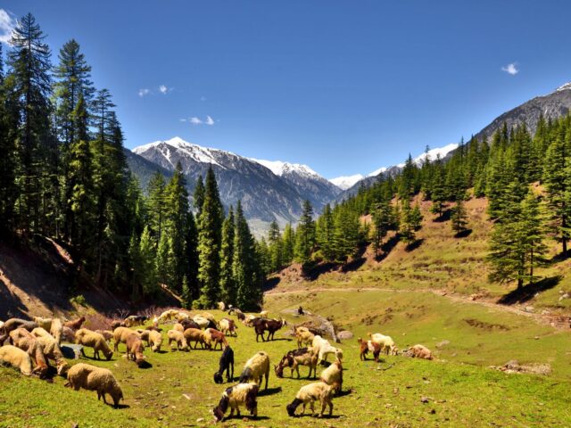 utror valley