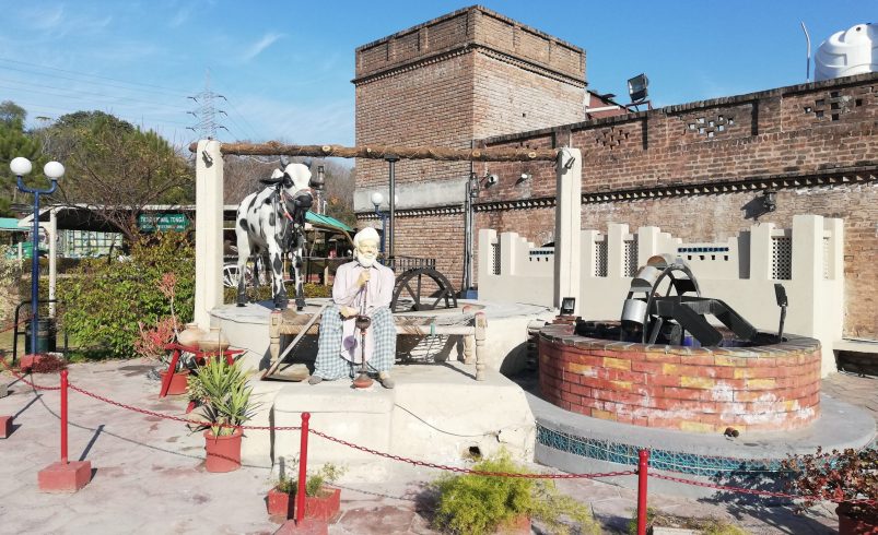 Fun Facts About Punjab: Discover the Heart of Pakistani Culture
