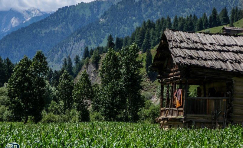 Taobat: The Last Jewel of Neelum Valley