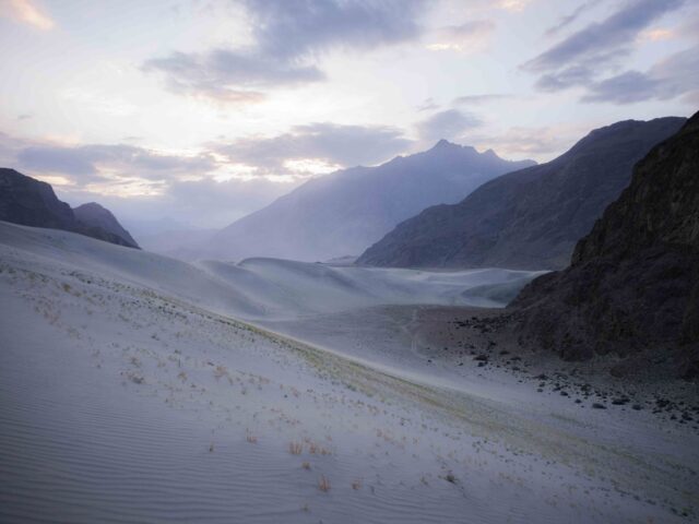 cold desert