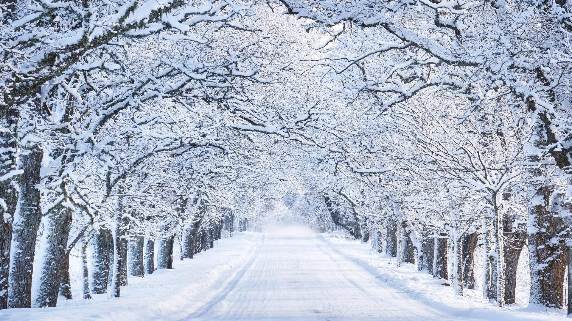 Best Places to Visit in Pakistan in Winter for Snowfall