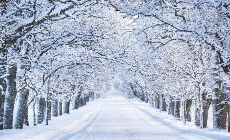 Best Places to Visit in Pakistan in Winter for Snowfall