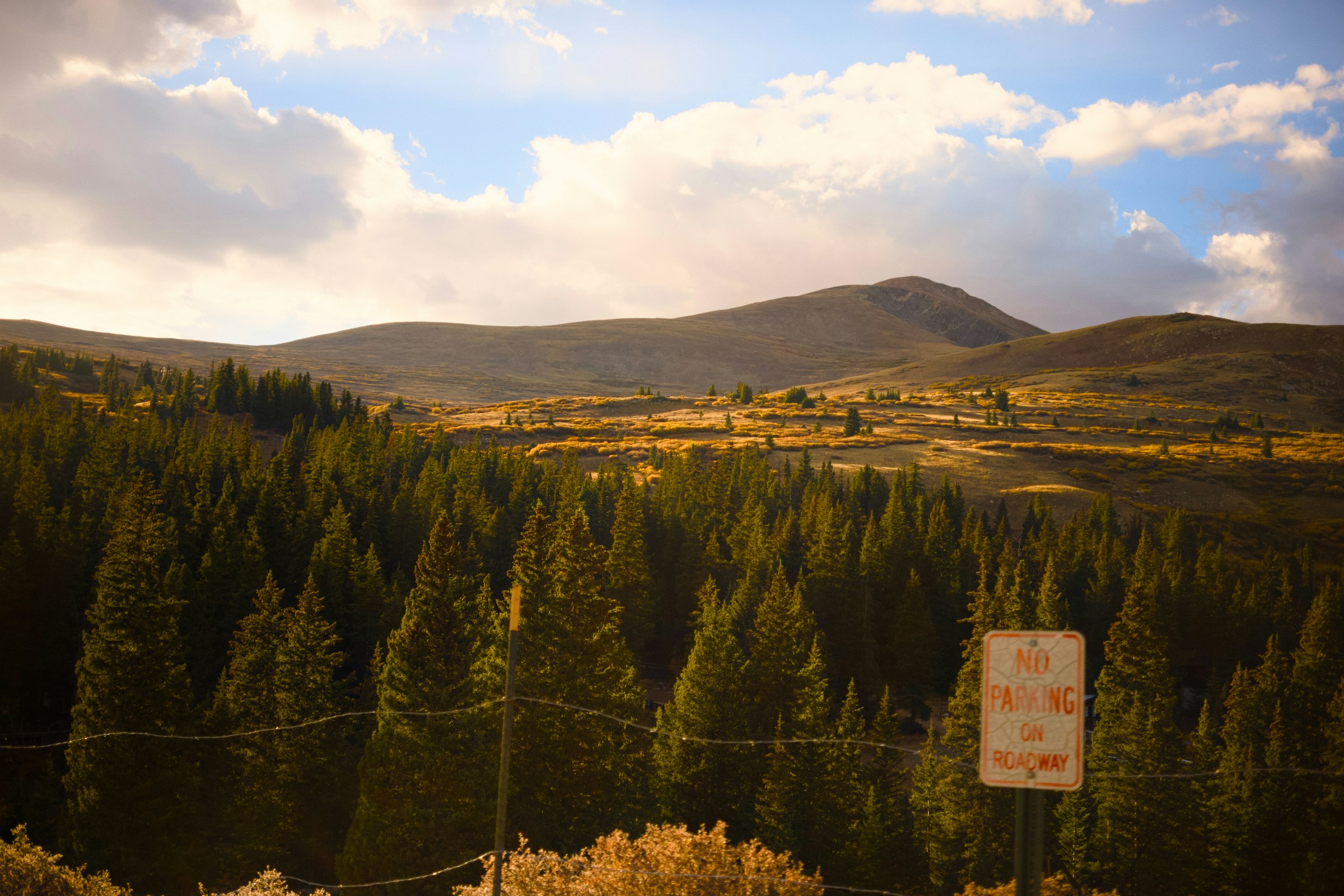 Pine forest and rolling hills, similar to Nathiagali's quieter, greener landscape