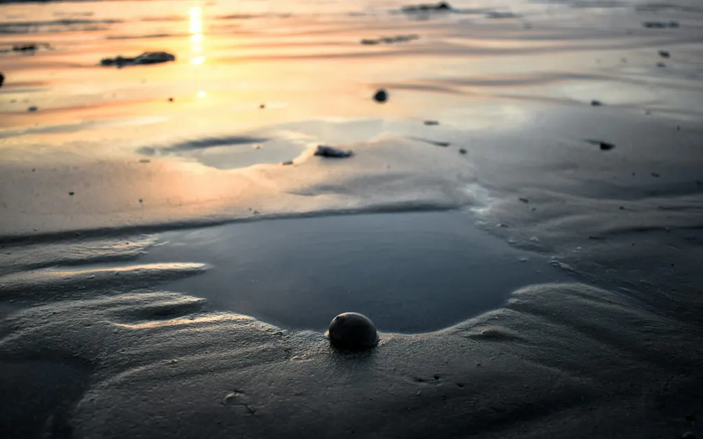 A seashore in Karachi, Sindh, Pakistan