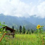 Arang Kel village on a green ridge in Neelum Valley, Azad Kashmir