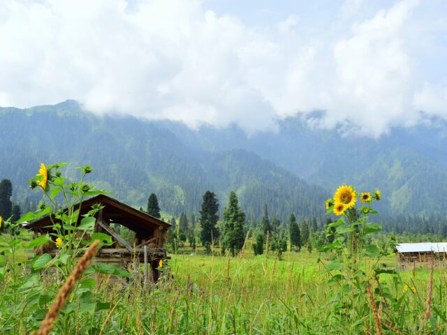 Arang Kel village on a green ridge in Neelum Valley, Azad Kashmir