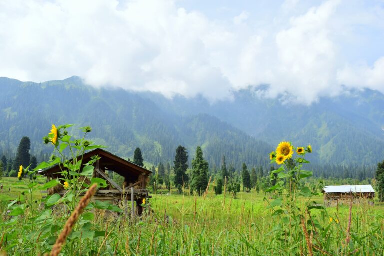 Arang Kel village on a green ridge in Neelum Valley, Azad Kashmir