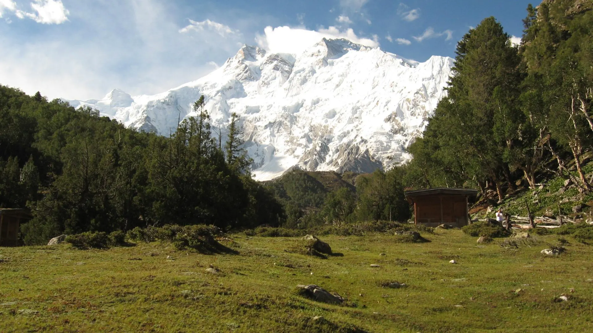 Nanga Parbat north face rising above the meadow and a wooden cottage at Fairy Meadows