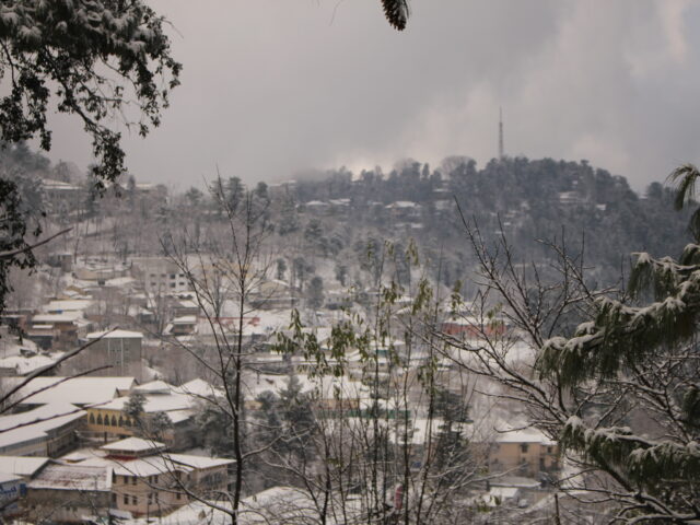 Snow-covered hills and trees at Murree in winter