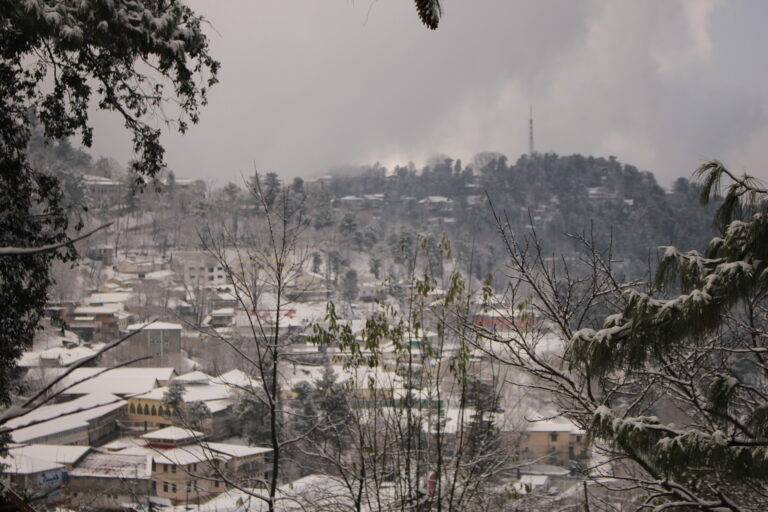Snow-covered hills and trees at Murree in winter