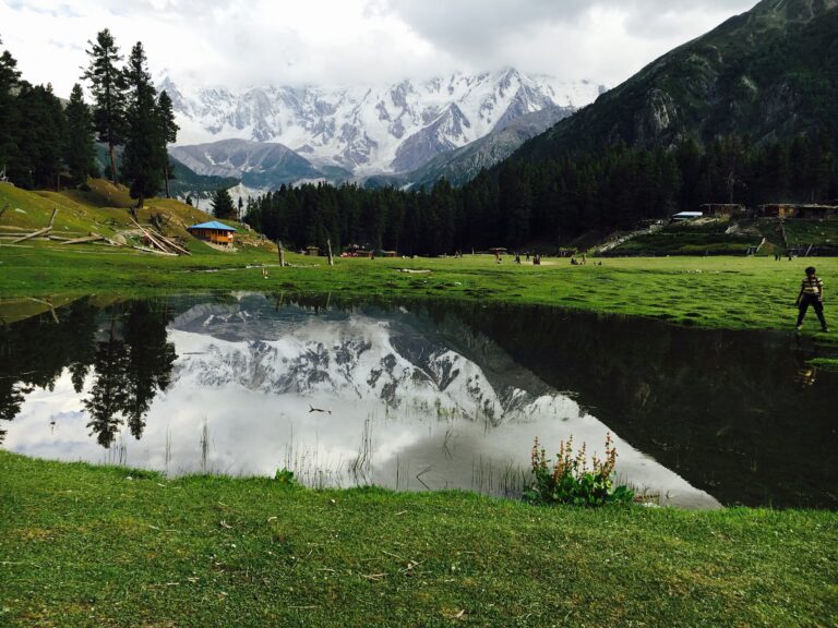 Green meadow at Fairy Meadows with Nanga Parbat rising behind