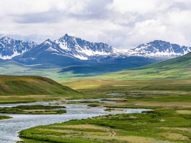 Open green plains of Deosai National Park in summer