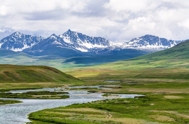 Open green plains of Deosai National Park in summer